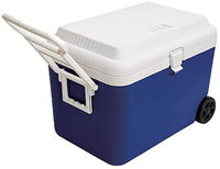 【CAPTAIN STAG】 日本戸外品牌 保護輪水壺冷藏箱 48L（藍色） M-5059
