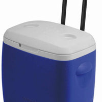【CAPTAIN STAG】 日本戸外品牌 保護輪水壺冷藏箱 28L（藍色） M-5281
