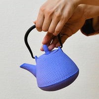 【日本工藝堂】 南部鉄器 茶壺 圓頂型（富士型）0.4L 深藍色