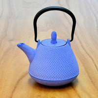 【日本工藝堂】 南部鉄器 茶壺 圓頂型（富士型）0.4L 深藍色
